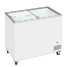 Tiefkühltruhe EK 301 - Esta